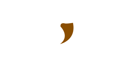 BetBhai9 Logo