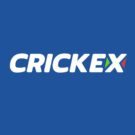 how to bet in crickex app 2024