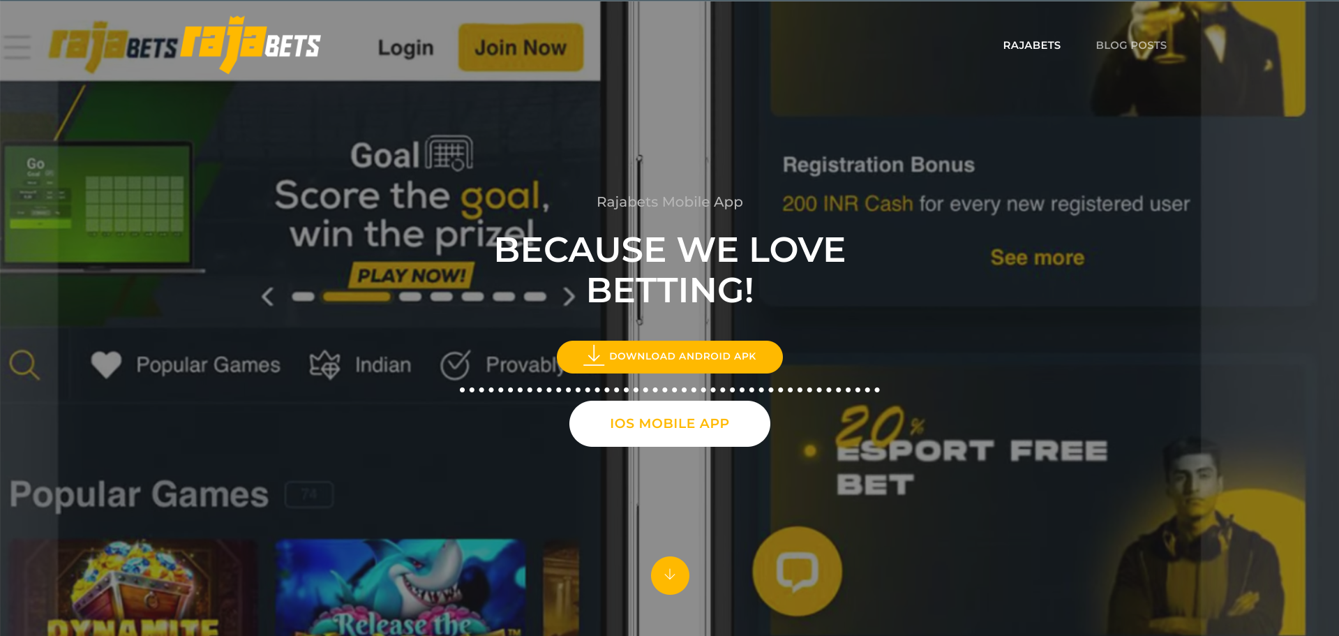 Can I use Rajabets on my mobile device?